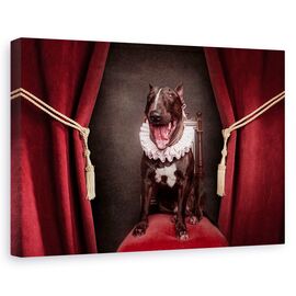 Tablou Canvas - Bine Ati Venit La Spectacol, Marime: 60 x 90 cm - - Roveli