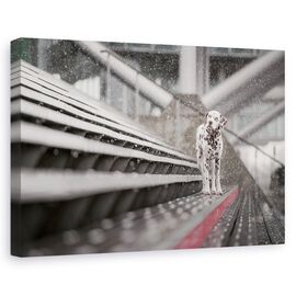Tablou Canvas - Uneori Ninge In Aprilie - - Roveli