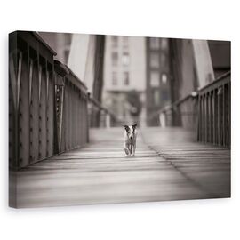 Tablou Canvas - Poti Merge Pe Drumul Tau - - Roveli