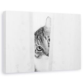 Tablou Canvas - Pisica Amuzanta - - Roveli