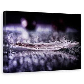 Tablou Canvas - Pene Si Picatura ii - - Roveli