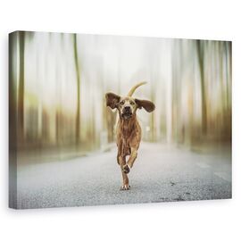 Tablou Canvas - Dansand Pe Strazi - - Roveli