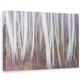 Tablou Canvas - Povesti Adevarate, Marime: 60 x 90 cm - - Roveli