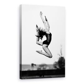 Tablou Canvas - Dans - - Roveli