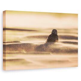 Tablou Canvas - Aur, Marime: 60 x 90 cm - - Roveli