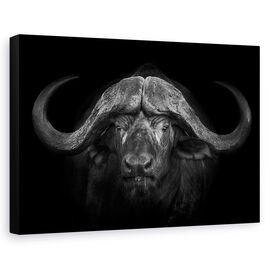 Tablou Canvas - Coarne Mari, Marime: 60 x 90 cm - - Roveli
