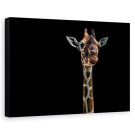 Tablou Canvas - Salut, Marime: 60 x 90 cm - - Roveli