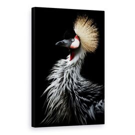 Tablou Canvas - Portretul Macaralei Incoronate, Marime: 60 x 90 cm - - Roveli