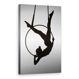 Tablou Canvas - Aerialistul, Marime: 60 x 90 cm - - Roveli