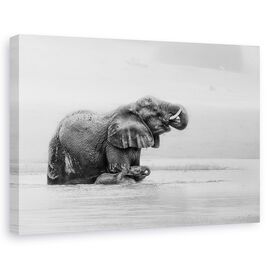 Tablou Canvas - Traversarea Raului Cu Mama, Marime: 60 x 90 cm - - Roveli