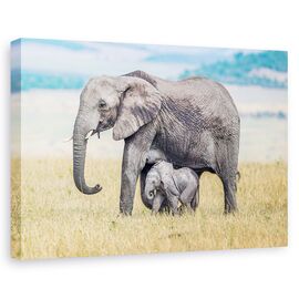 Tablou Canvas - Unul Mititel, Marime: 60 x 90 cm - - Roveli