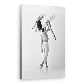 Tablou Canvas - Moliciune Si Rezistenta, Marime: 60 x 90 cm - - Roveli