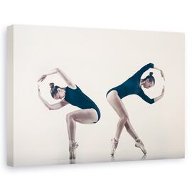 Tablou Canvas - Balerini, Marime: 60 x 90 cm - - Roveli