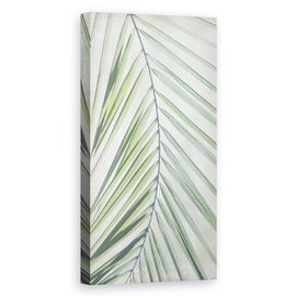Tablou Canvas - Planta, Palma, Frunze, Pictura, Marime: 50 x 100 cm - - Roveli