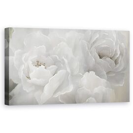 Tablou Canvas - Floare, Bujor, Alb, Pictura, Marime: 50 x 100 cm - - Roveli