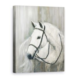 Tablou canvas - Animale, Cal, Alb, Pictura - - Roveli