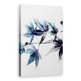 Roveli - Tablou Canvas - Natura, Planta, Artar Albastru, Pictura II-