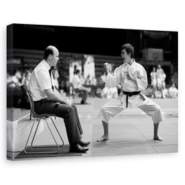 Tablou Canvas - Kiae, Marime: 60 x 90 cm - - Roveli