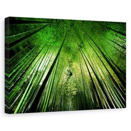 Tablou Canvas - Noapte De Bambus - - Roveli