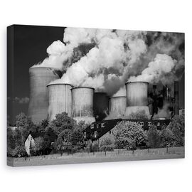 Tablou Canvas - Vecinul Cel Bun - - Roveli