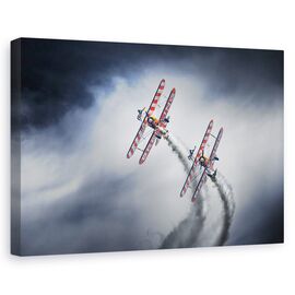 Tablou Canvas - Plimbari Cu Aripa, Marime: 60 x 90 cm - - Roveli