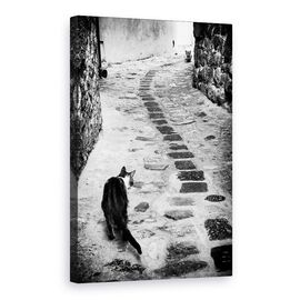 Tablou Canvas - Timpul Infruntarii - - Roveli