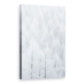 Tablou Canvas - Copaci In Iarna, Marime: 60 x 90 cm - - Roveli