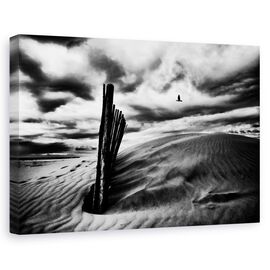 Tablou Canvas - Strigatul Pescarusului, Marime: 60 x 90 cm - - Roveli