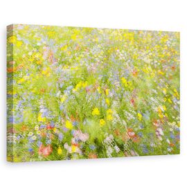 Tablou Canvas - Flori De Camp De Vara, Marime: 60 x 90 cm - - Roveli