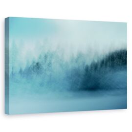 Tablou Canvas - Wintersaga - - Roveli