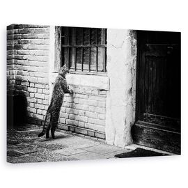 Tablou Canvas - Pisica, Marime: 60 x 90 cm - - Roveli