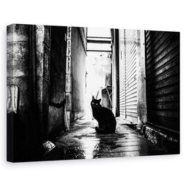 Tablou Canvas - Strada Nr. 10, Marime: 60 x 90 cm - - Roveli