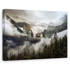 Tablou Canvas - Dimineata In Vale - - Roveli