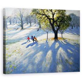 Tablou Canvas - Andrew Macara - Markeaton Park - - Roveli