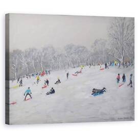 Tablou Canvas - Andrew Macara - Iarna, Darley Park - - Roveli
