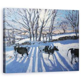 Tablou Canvas - Andrew Macara - Vaci frieziene - - Roveli