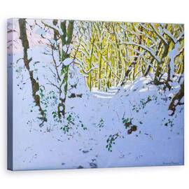 Tablou Canvas - Andrew Macara - Calea prin padure in timpul iernii, Derbyshire - - Roveli
