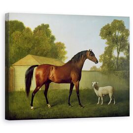 Tablou Canvas - George Stubbs - Dungannon, proprietatea colonelului OKelly, pictat intr-un padoc cu o oaie - - Roveli