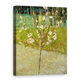 Tablou Canvas - Vincent van Gogh - Arbore de migdale in floare - - Roveli