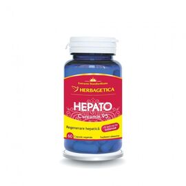 Hepato Curcumin 95 60 capsule Herbagetica - - Roveli