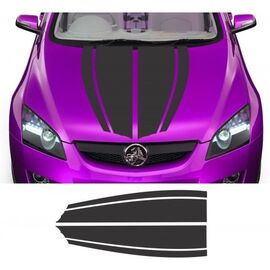Sticker capota DAR2 - - Roveli