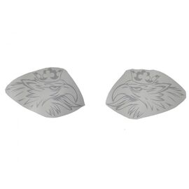 Sticker TIR - Logo nou SCANIA (50 X 50cm) - set 2 buc. - - Roveli