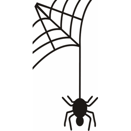 Spider - - Roveli