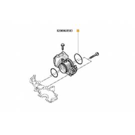 Garnitura Corp Clapeta Acceleratie Log./Sand. I. Ii - - Roveli
