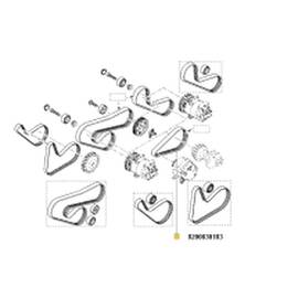 Curea Transmisie Log./Sand 1.2 16V - - Roveli