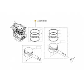 Set Segmenti Piston Log. - - Roveli
