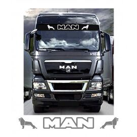 Sticker Parasolar MAN - - Roveli