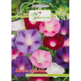 Roveli - Seminte Flori Zorele Colorate 1 gr-