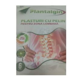 Plasturi cu Pelin Reduce Inflamatia Lombara 6 bucati Smart Touch - - Roveli