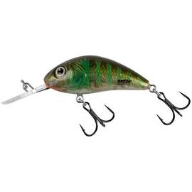 Vobler Salmo Hornet Rattlin H6.5F - - Roveli